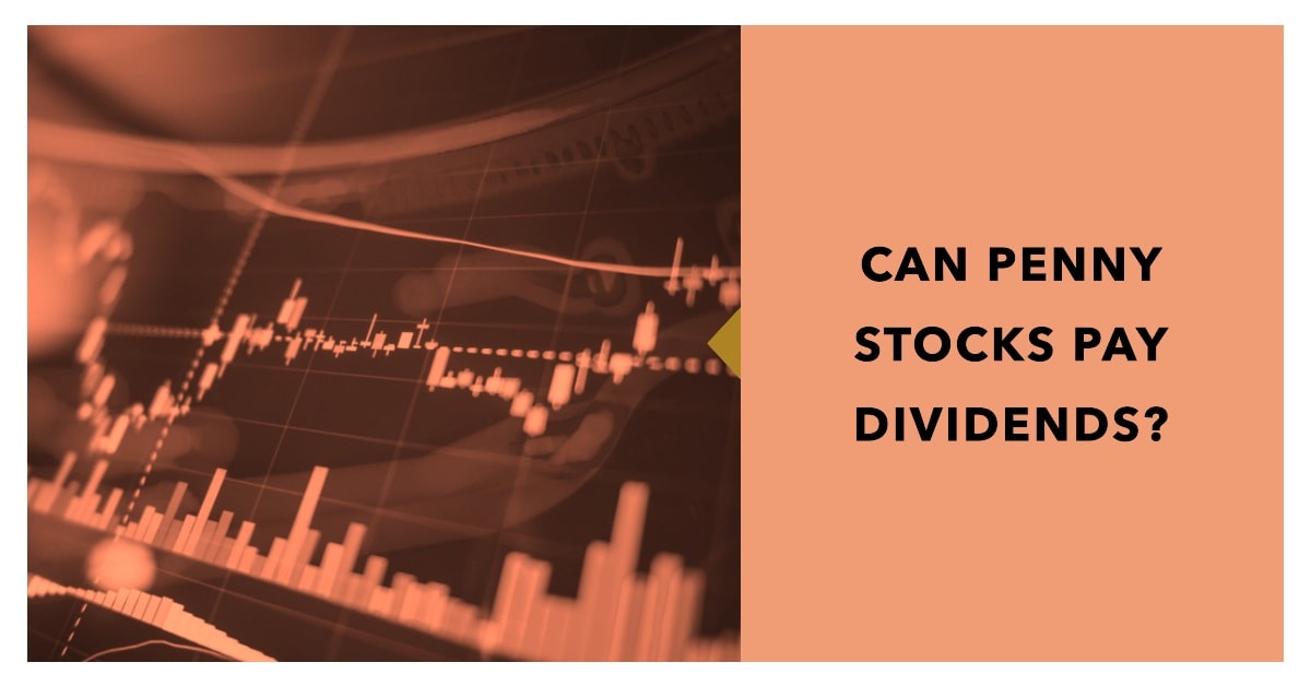 Can penny stocks pay dividends? Here is the answer