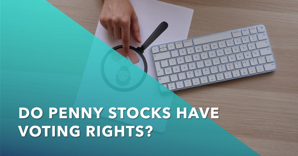 Do Penny Stocks Have Voting Rights